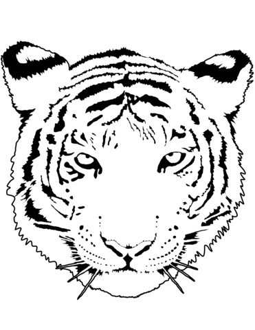 Tiger Portrait Coloring Page